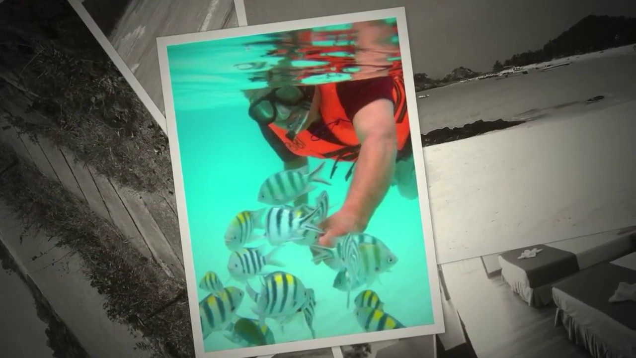 Redang Holiday Resort Overview